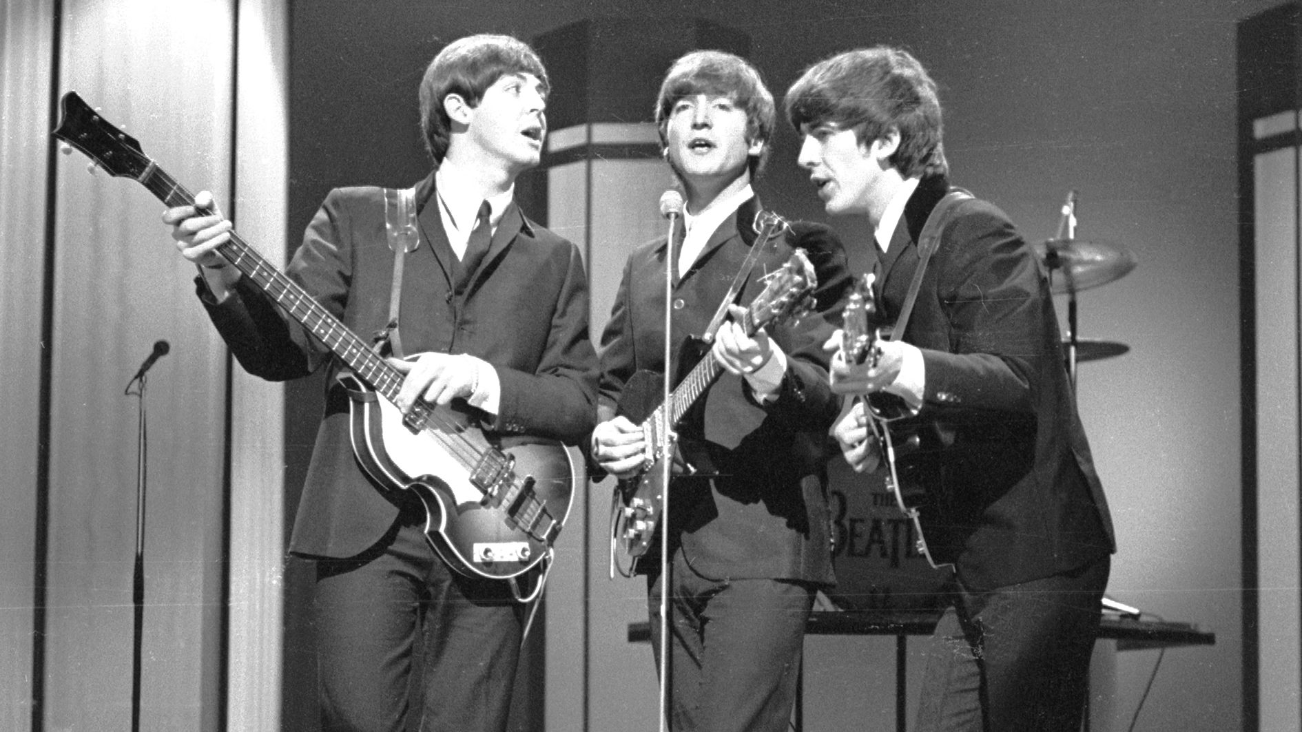 The beetles